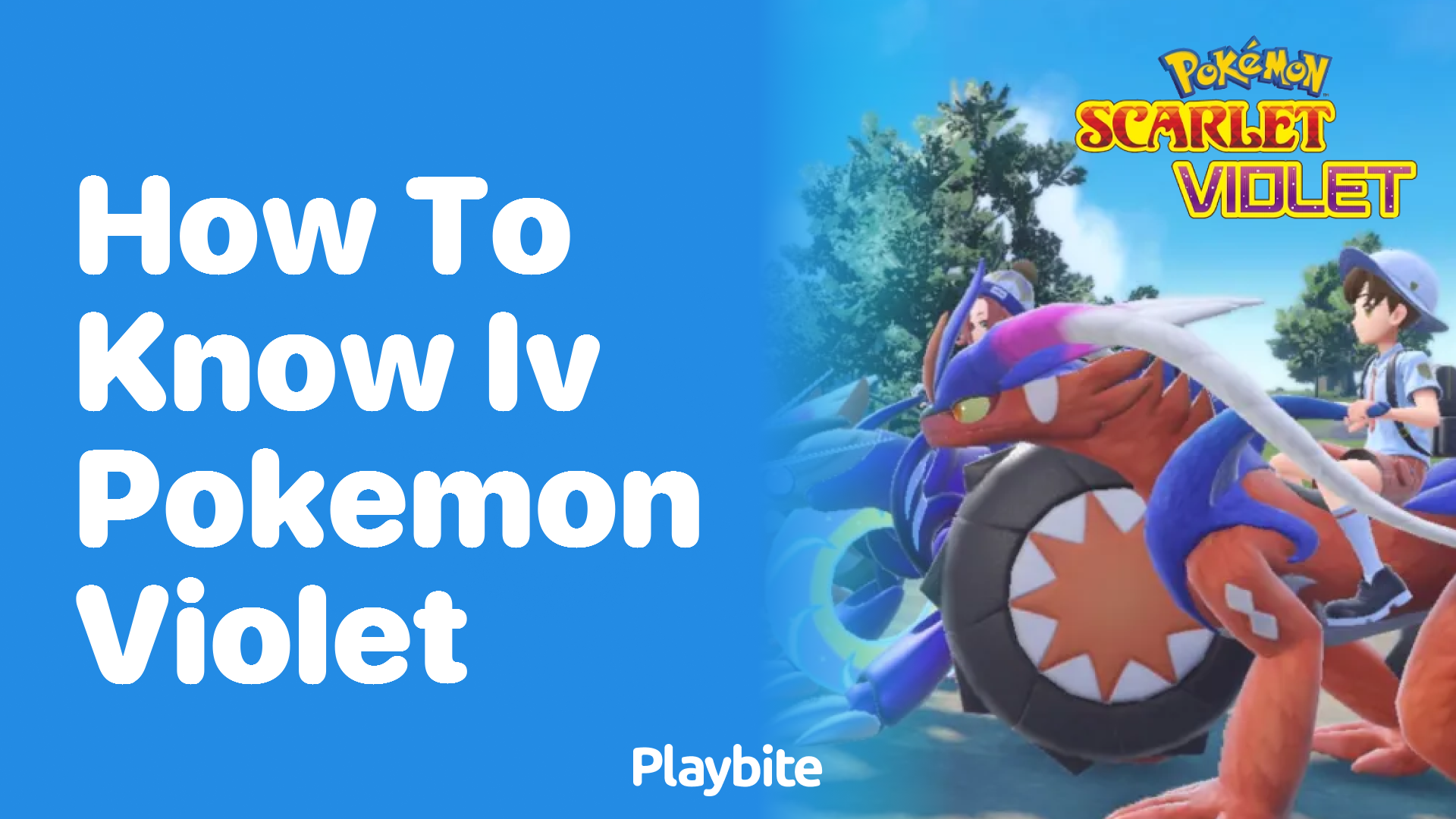 How to Know IV in Pokemon Violet