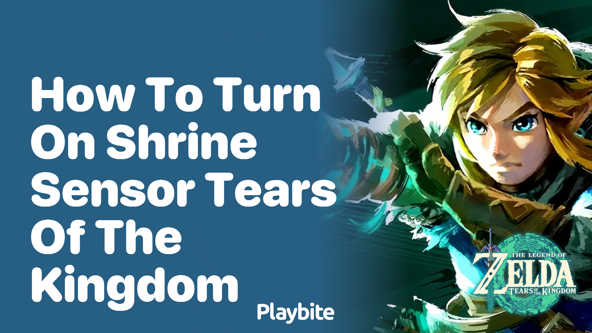 How to Turn On the Shrine Sensor in Tears of the Kingdom