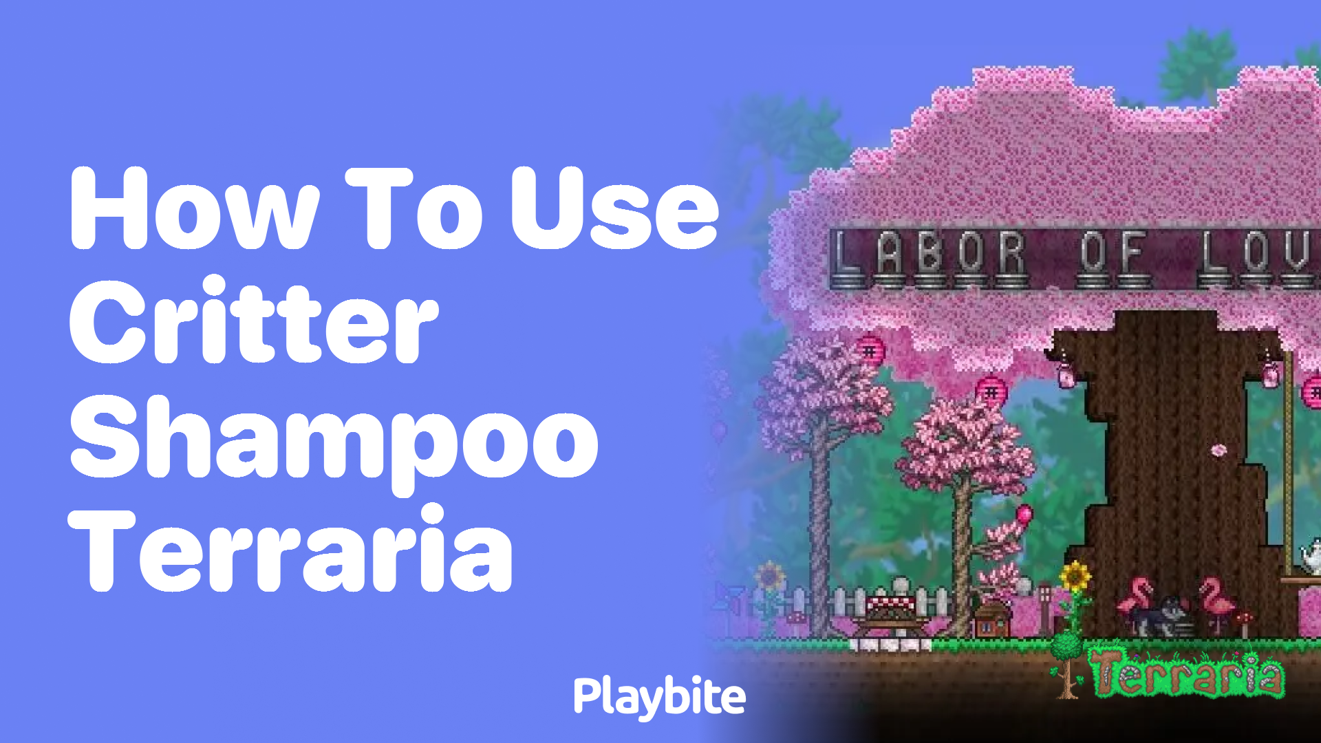 How to Use Critter Shampoo in Terraria Playbite