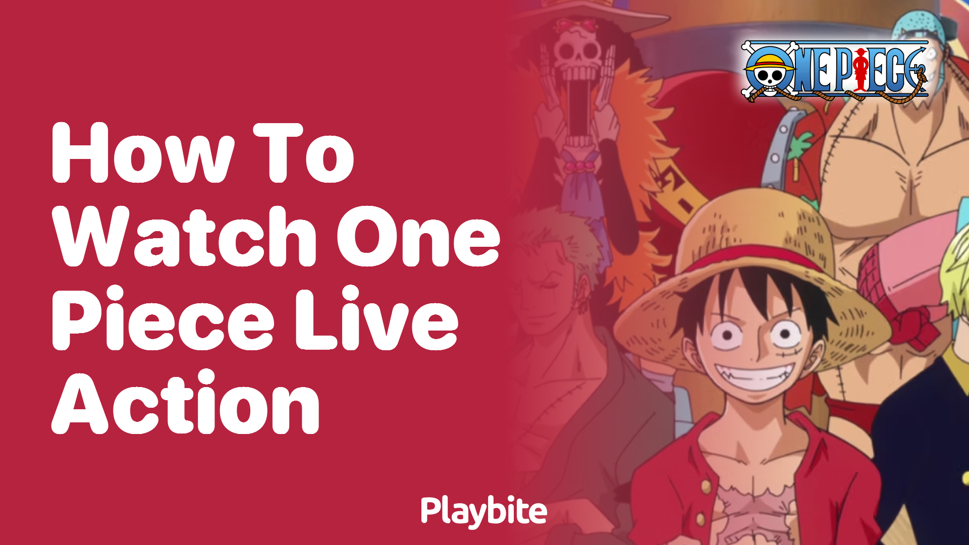 How to Watch the One Piece Live Action Show