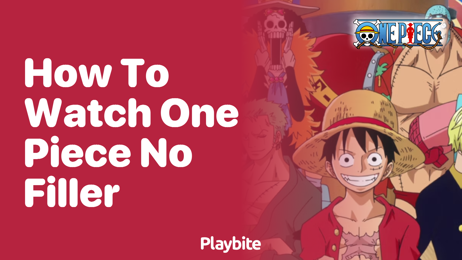 How to Watch One Piece Without Any Filler Episodes