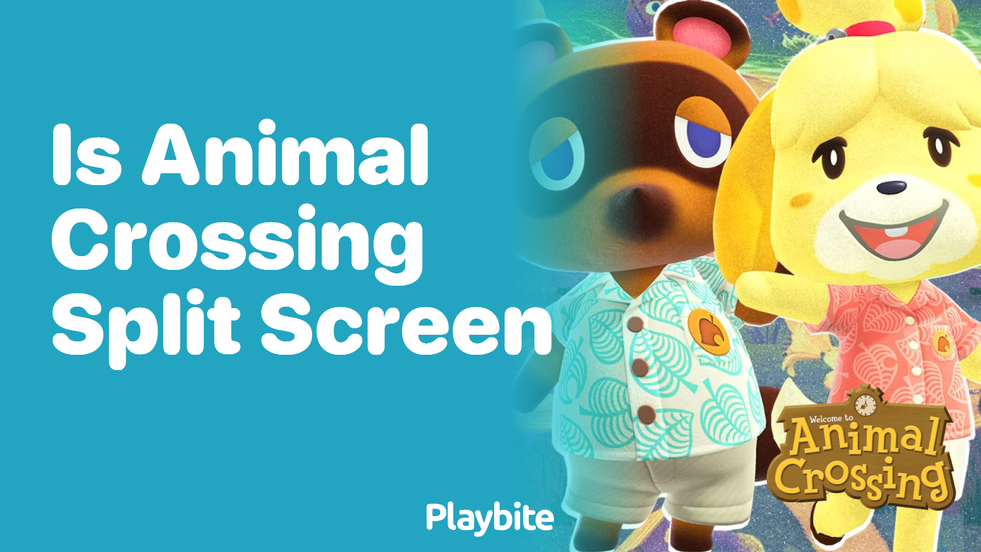 Is Animal Crossing Split Screen?