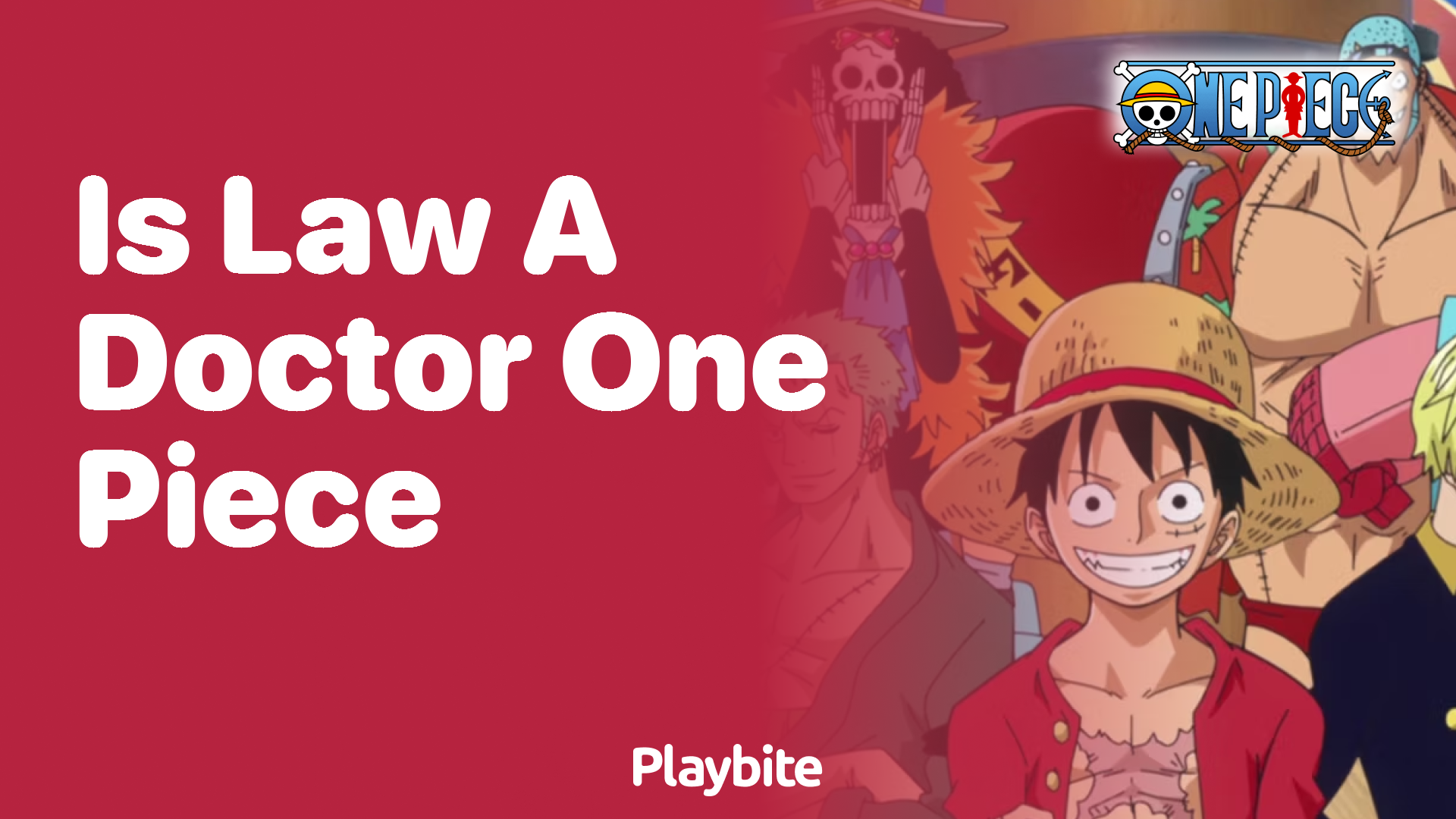 Is Law a Doctor in One Piece?