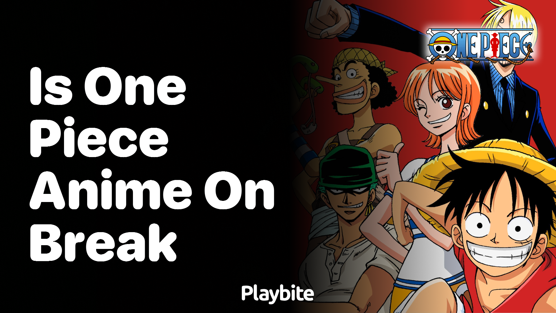 Is One Piece anime currently on a break?