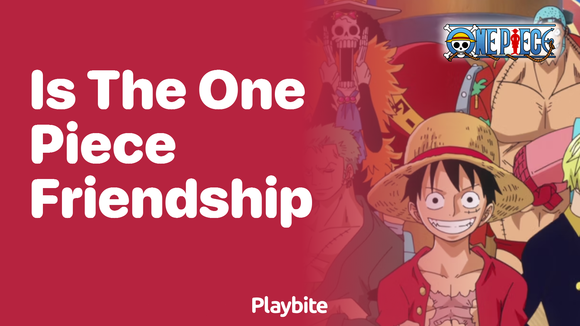 Is the One Piece Friendship?