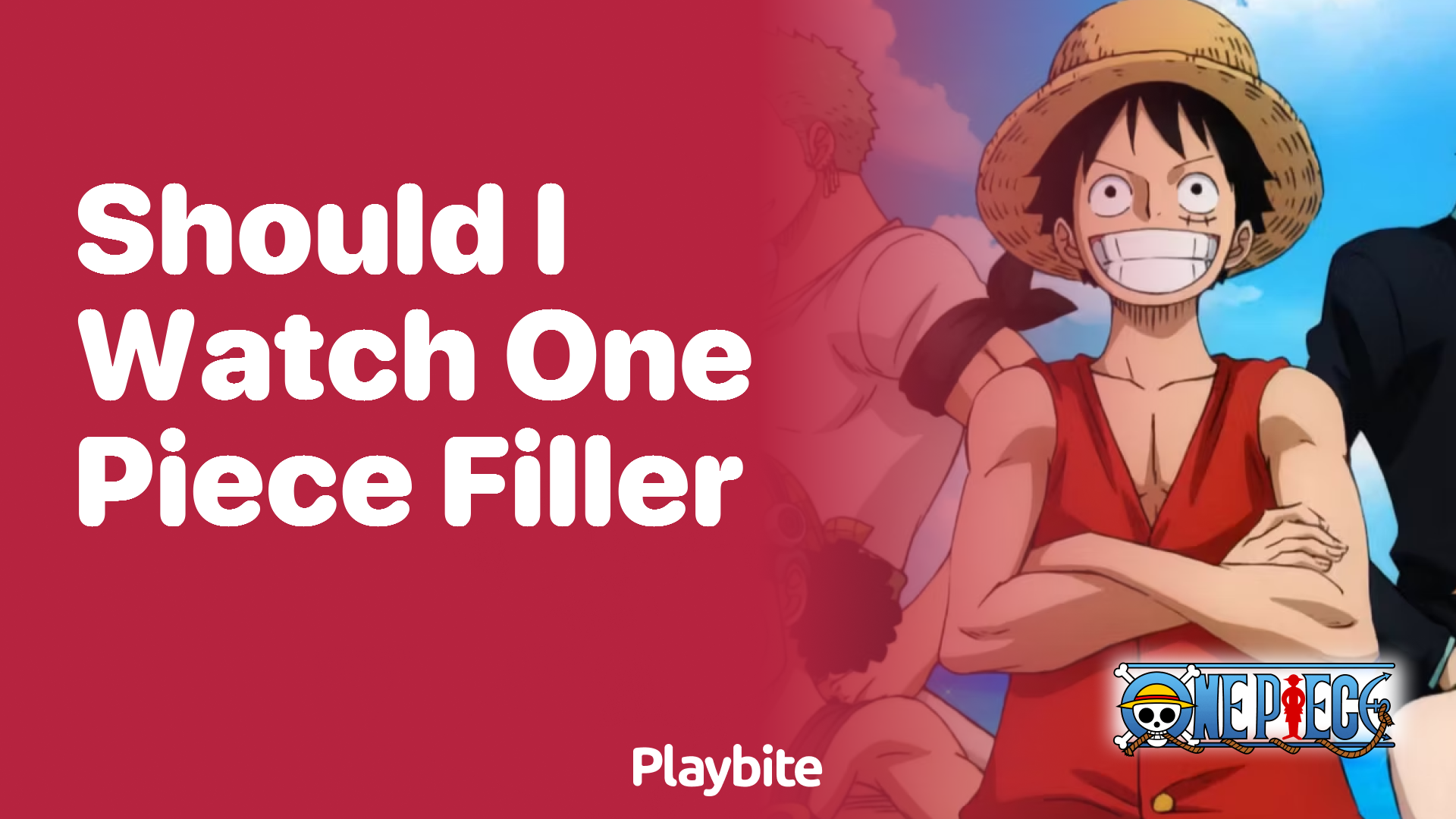 Should I Watch One Piece Filler Episodes?