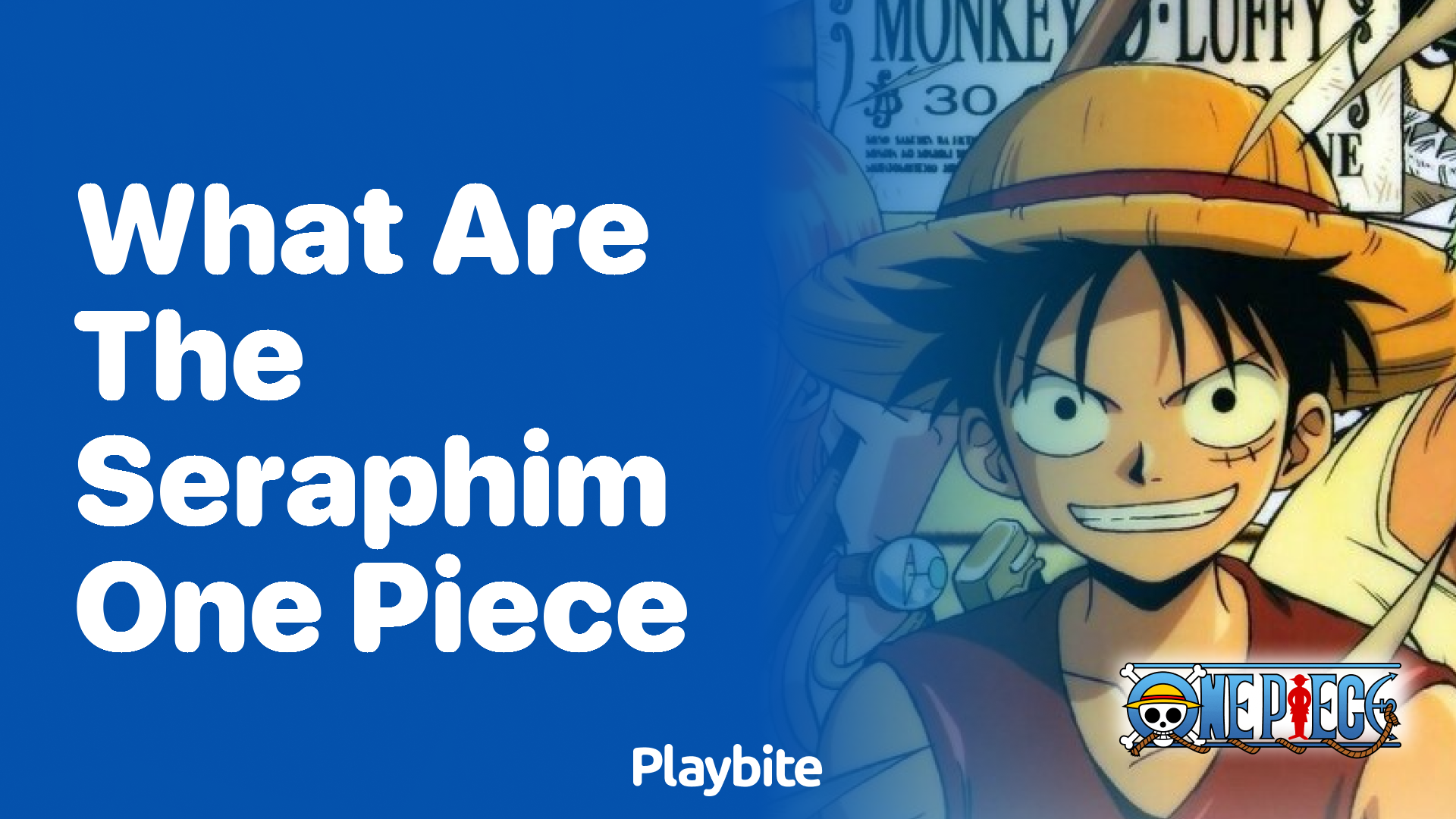 What Are the Seraphim in One Piece?