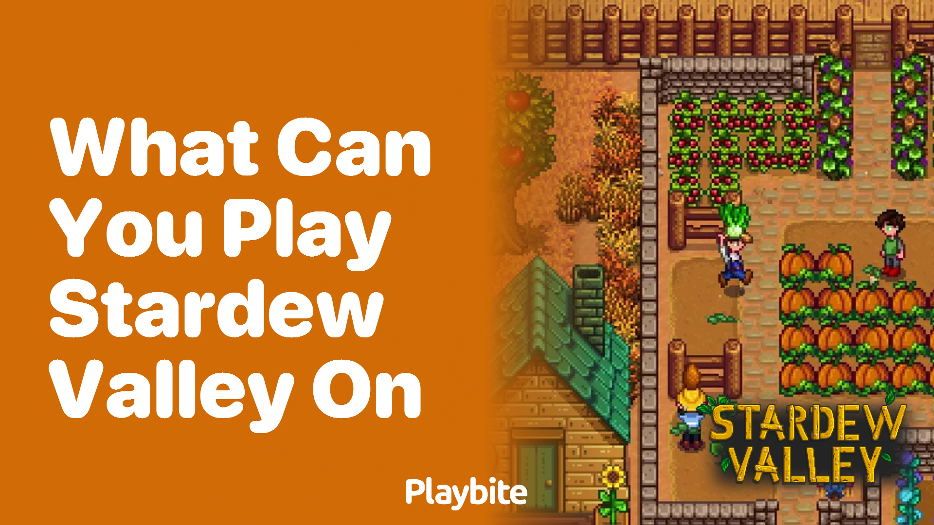 What platforms can you play Stardew Valley on?