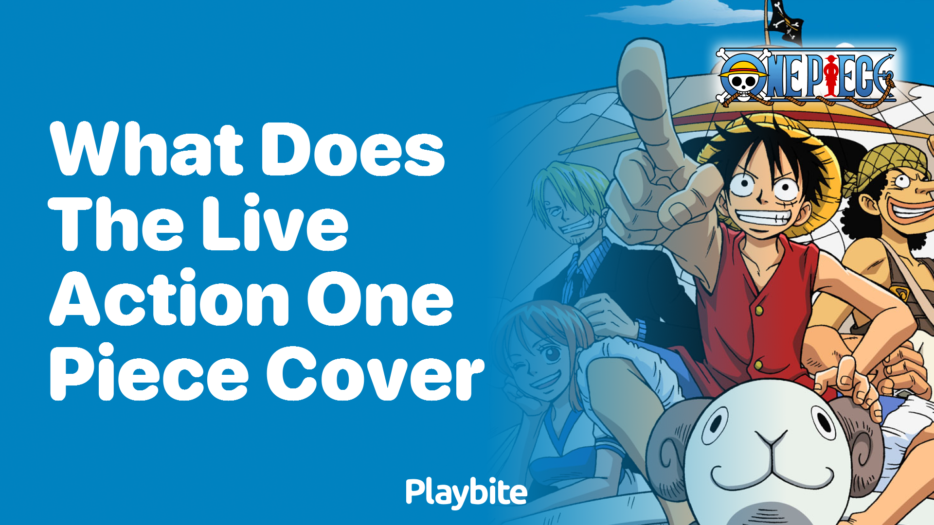 What Does the Live-Action One Piece Cover?