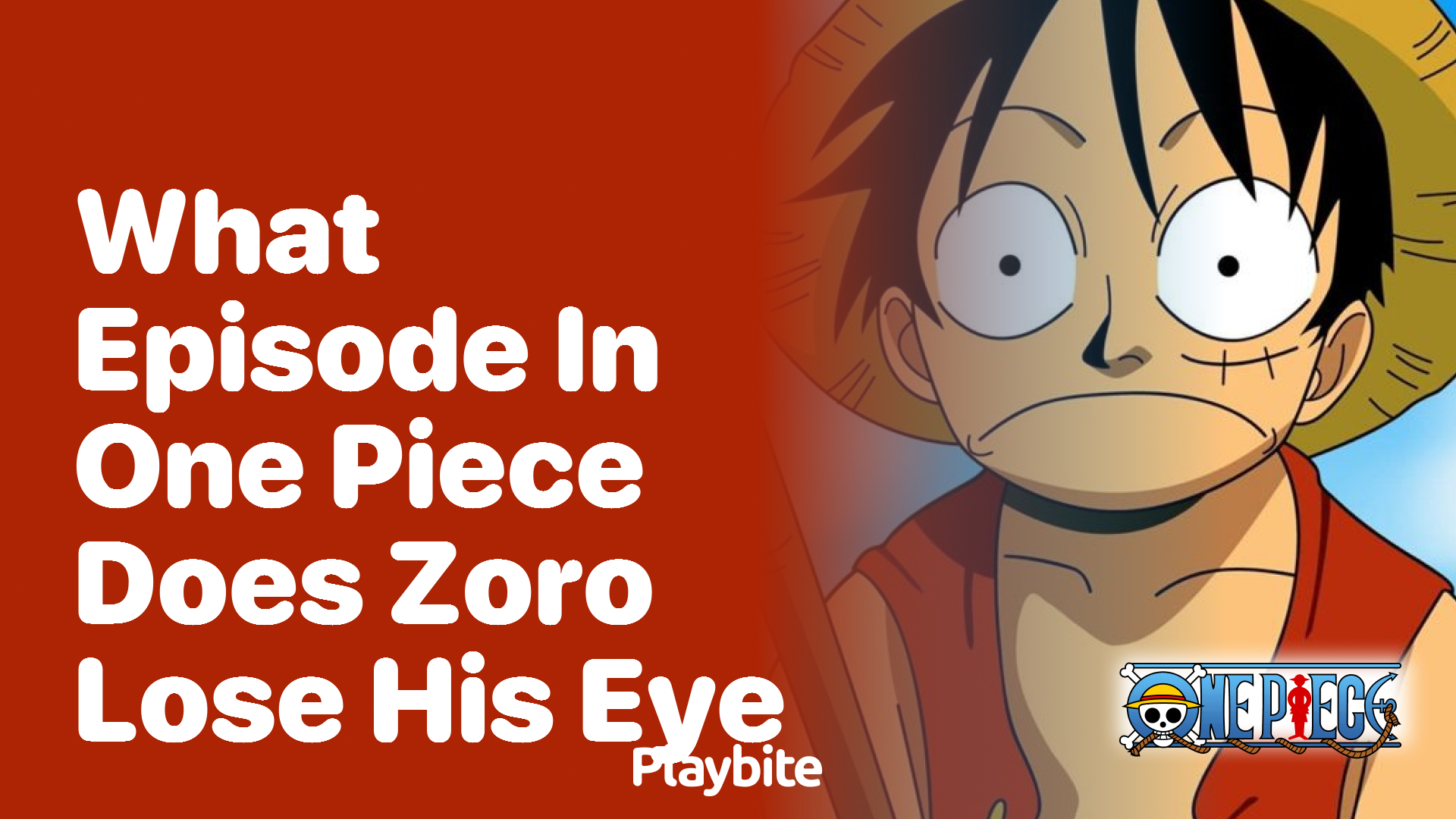 What Episode in One Piece Does Zoro Lose His Eye? Playbite