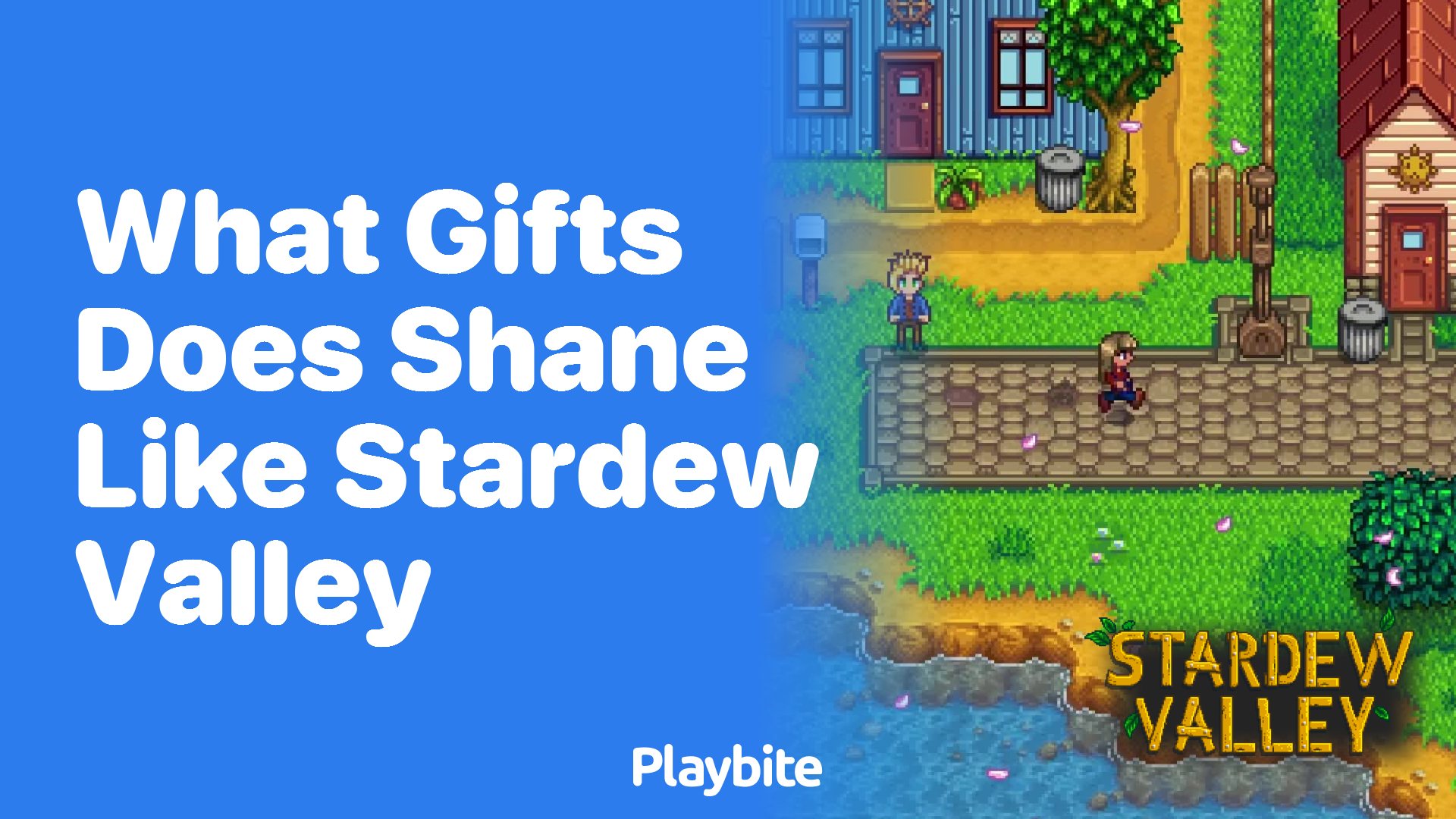 What gifts does Shane like in Stardew Valley?
