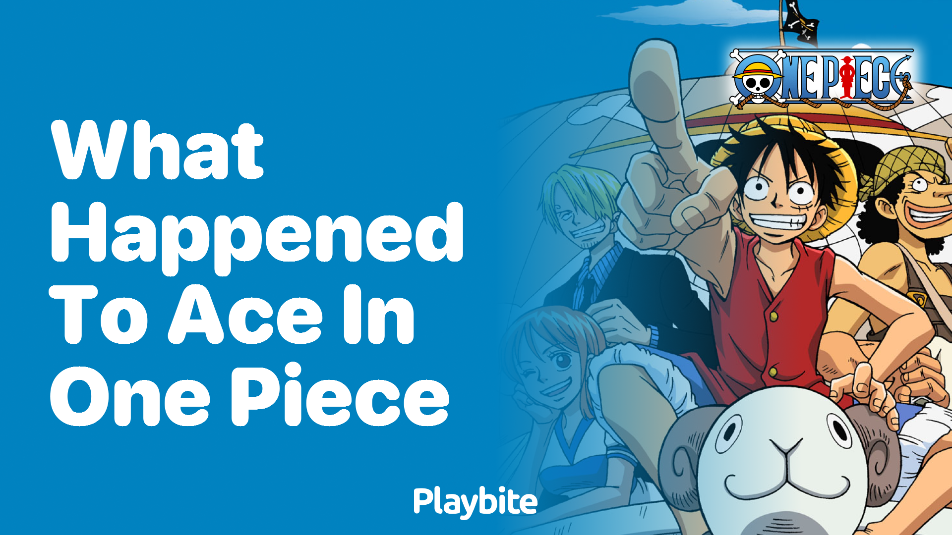 What Happened to Ace in One Piece?