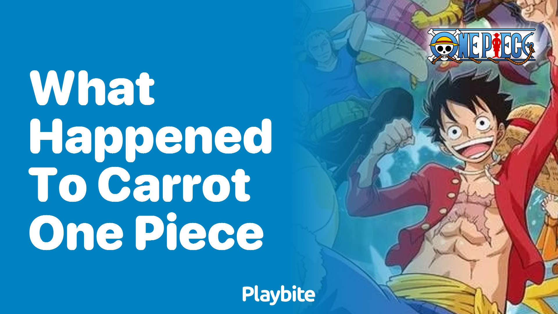 What Happened to Carrot in One Piece?