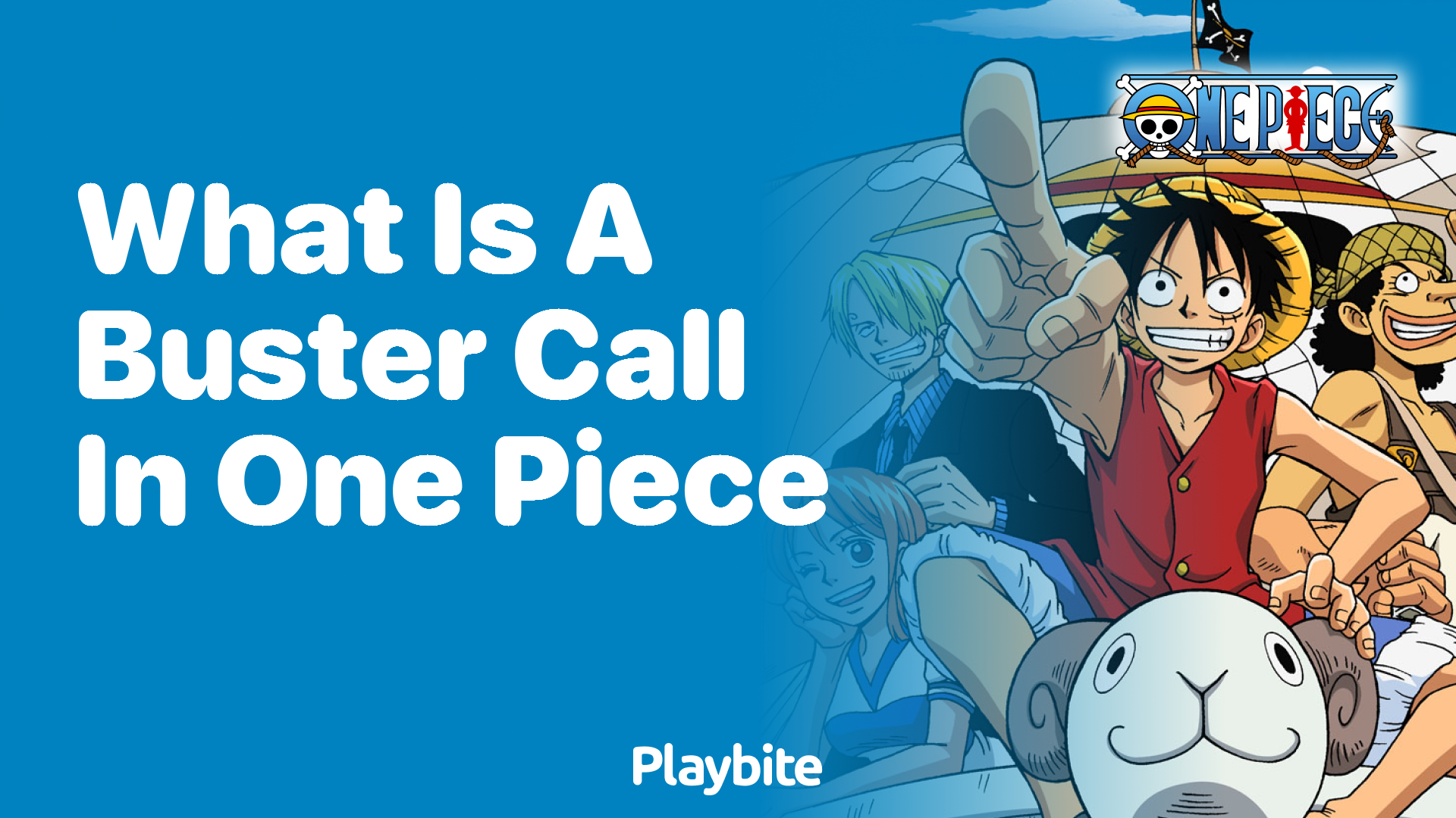 What Is a Buster Call in One Piece?
