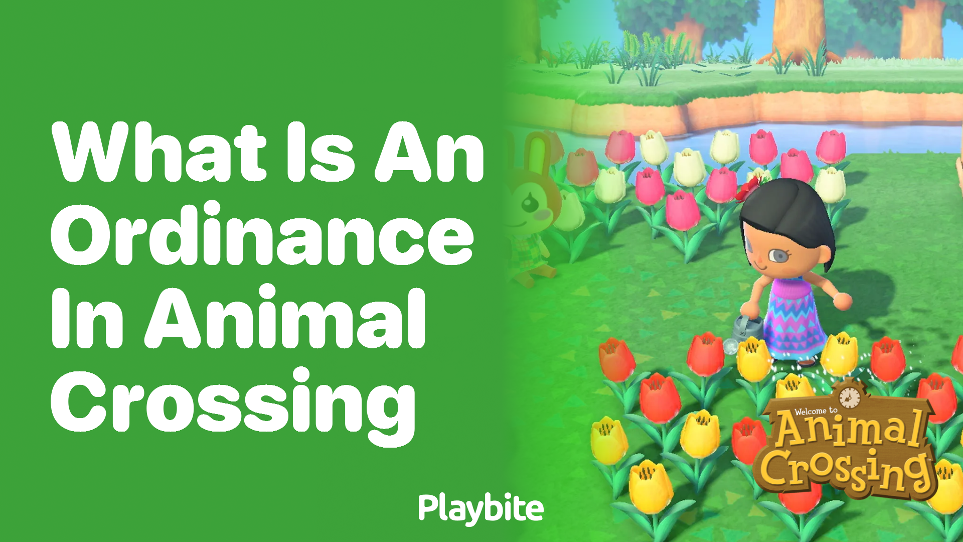 What is an ordinance in Animal Crossing? Playbite
