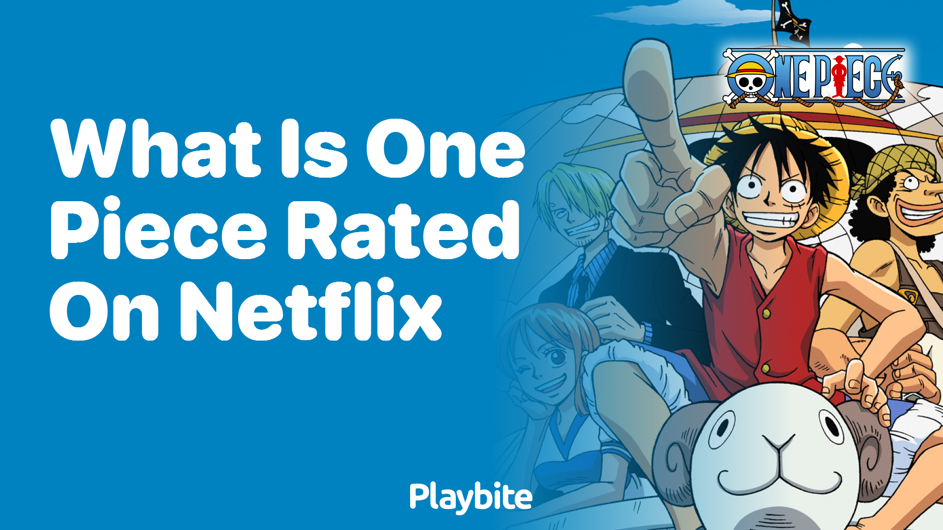 What is One Piece Rated on Netflix?