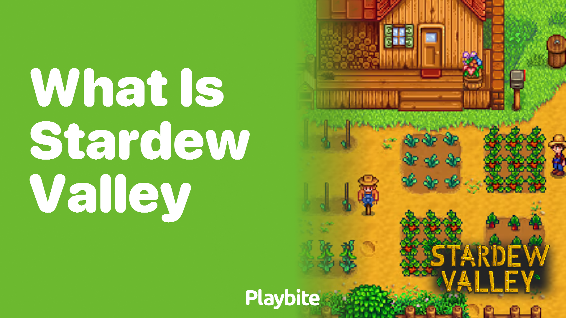 What is Stardew Valley?