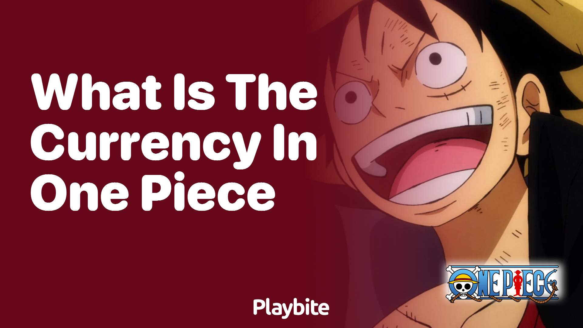 What Is the Currency in One Piece?