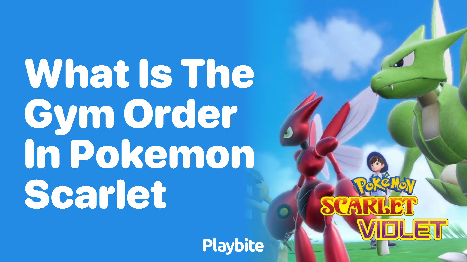 What is the gym order in Pokemon Scarlet?