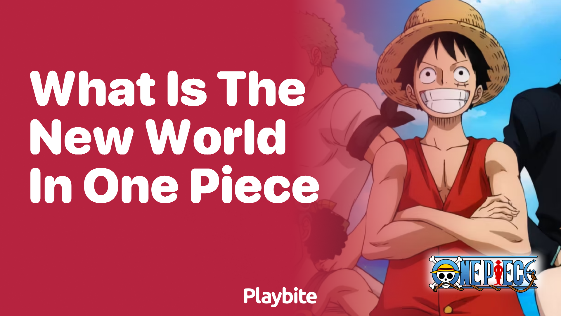 What Is the New World in One Piece?