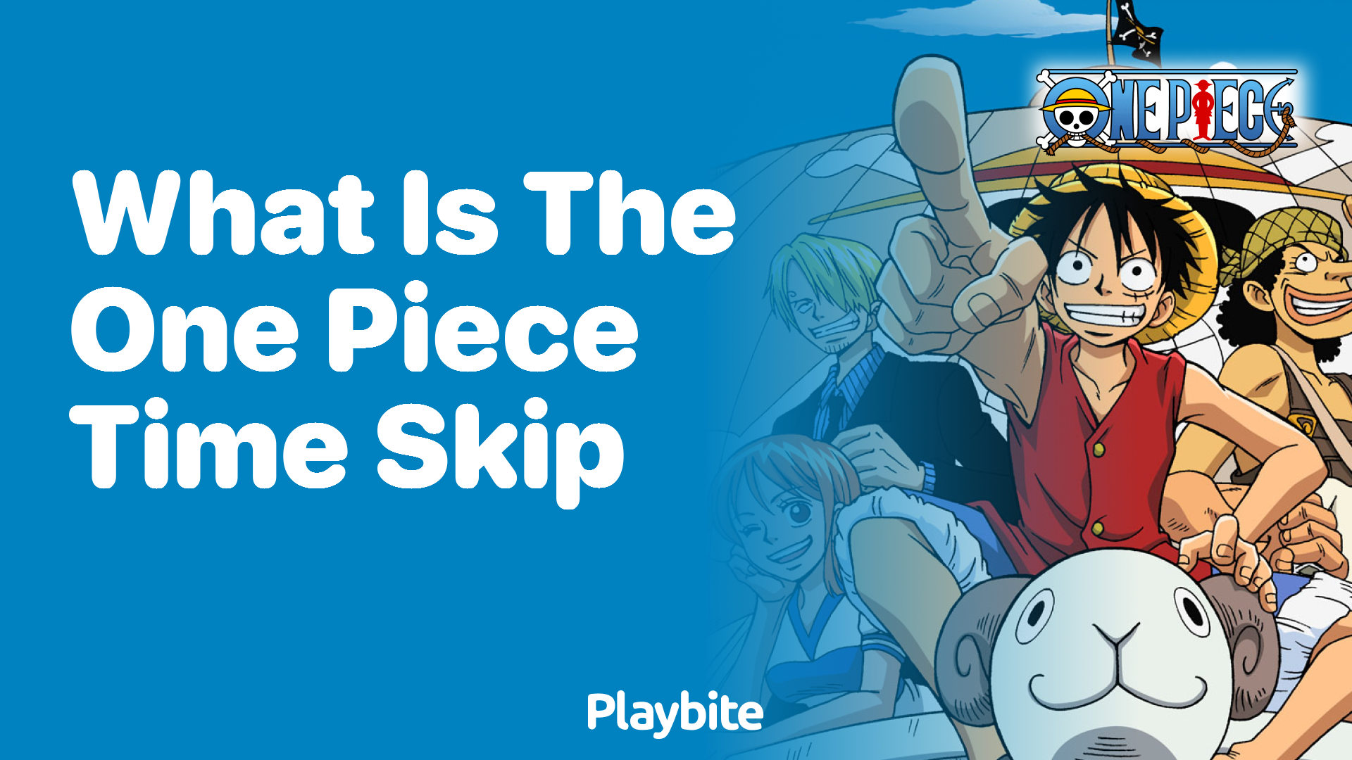 What is the One Piece Time Skip?