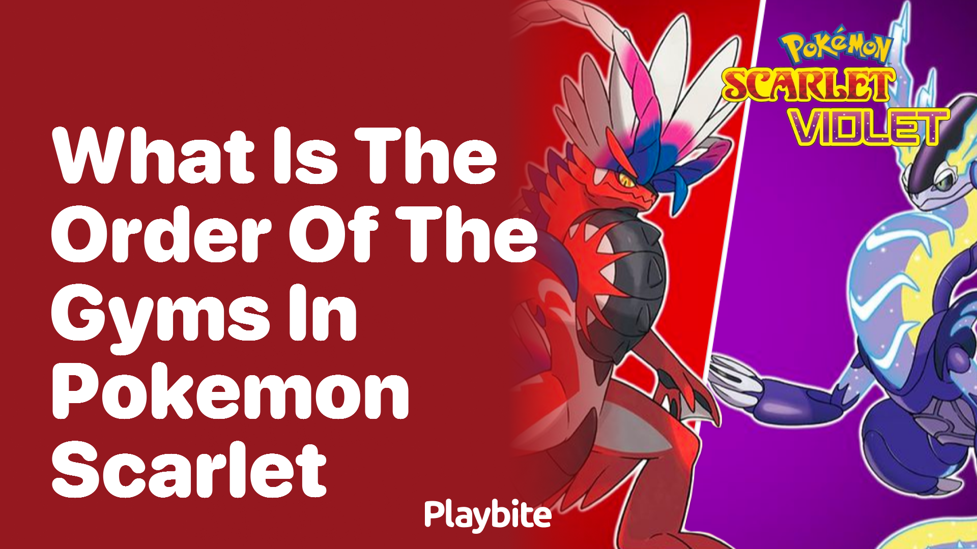 What is the order of the gyms in Pokemon Scarlet?