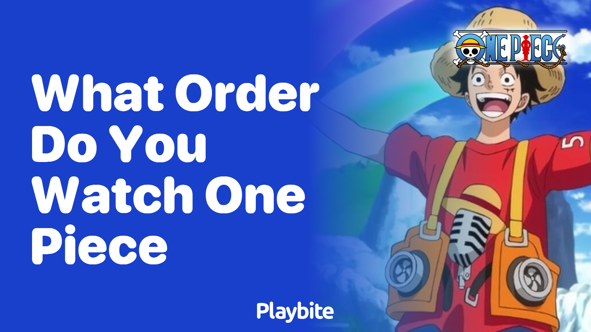 What Order Should You Watch One Piece In?