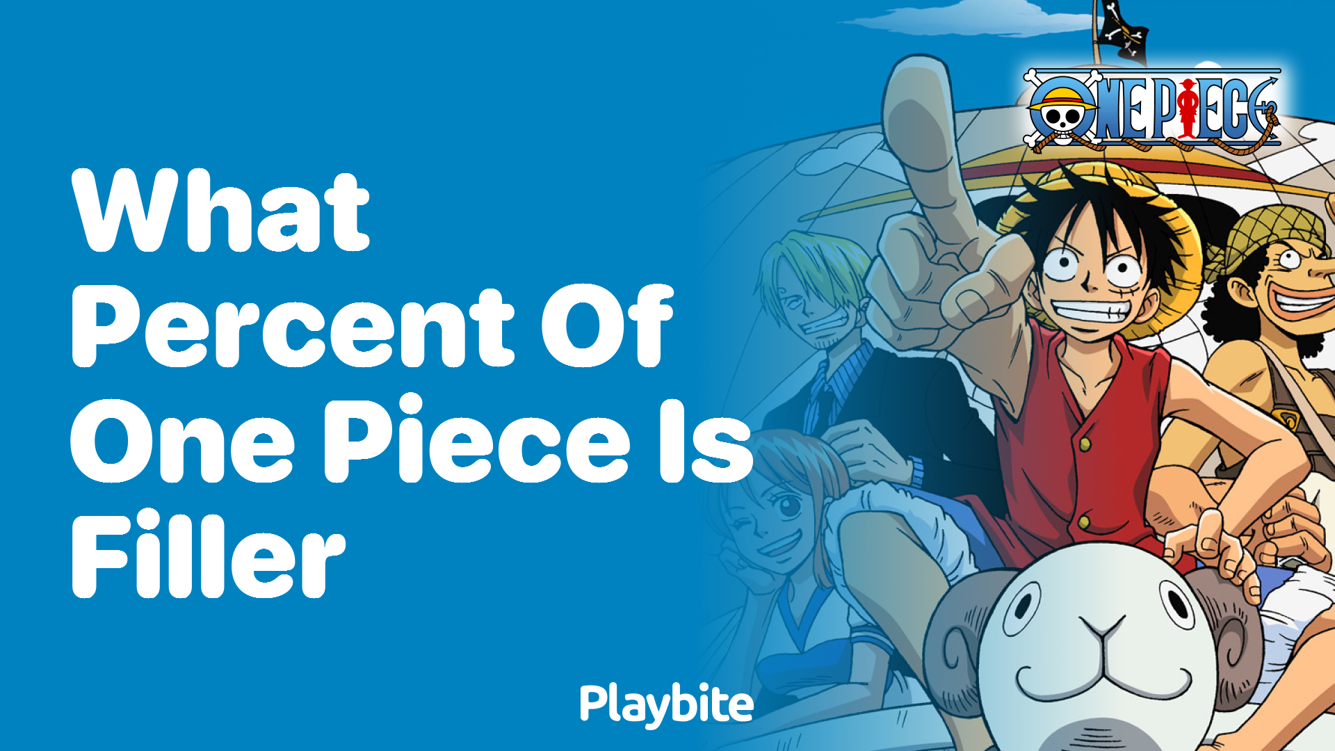 What Percent of One Piece is Filler?