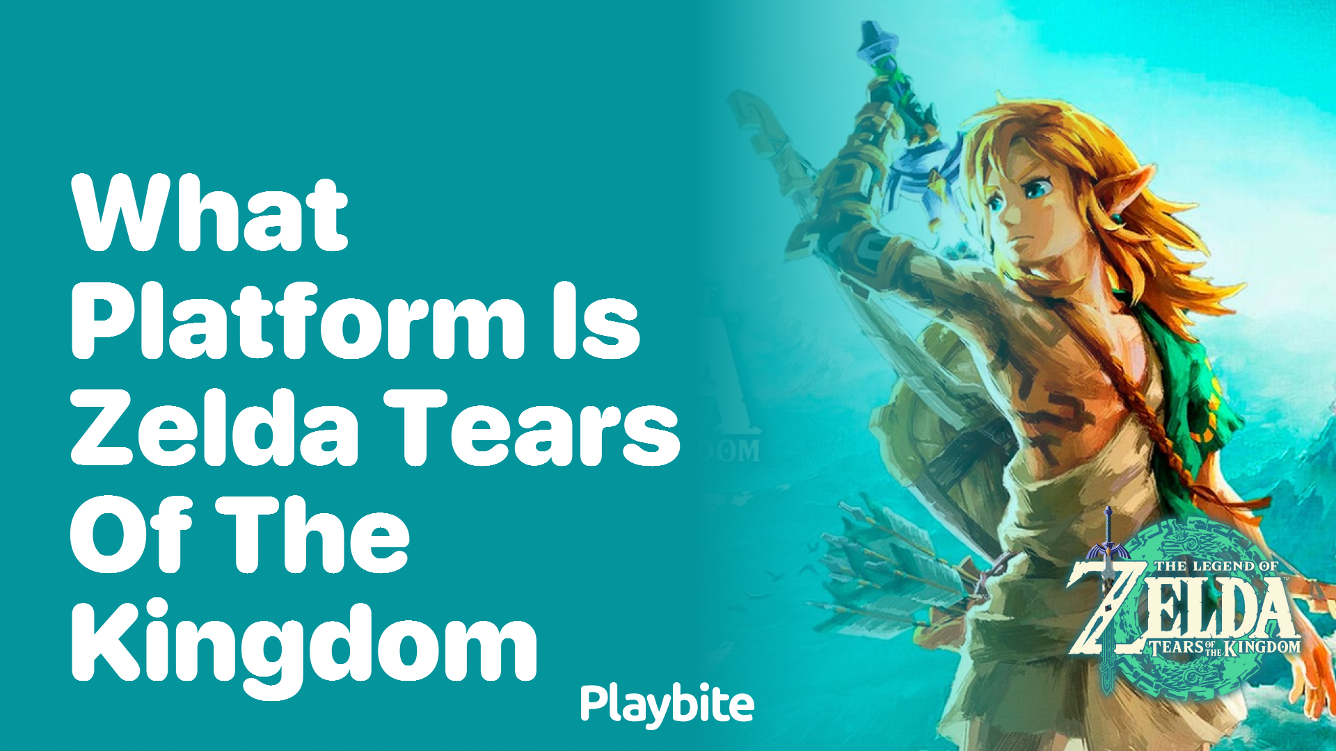 What Platform Can You Play Zelda: Tears of the Kingdom On?
