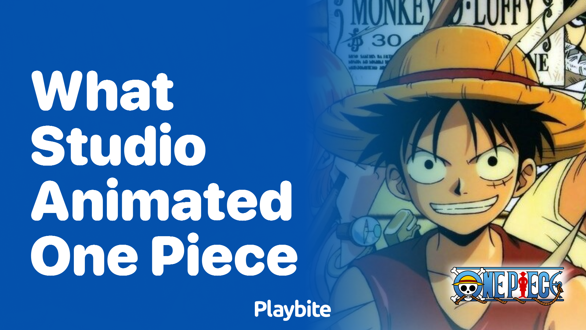 What Studio Animated One Piece? Unveiling the Mastermind Behind the Epic Saga