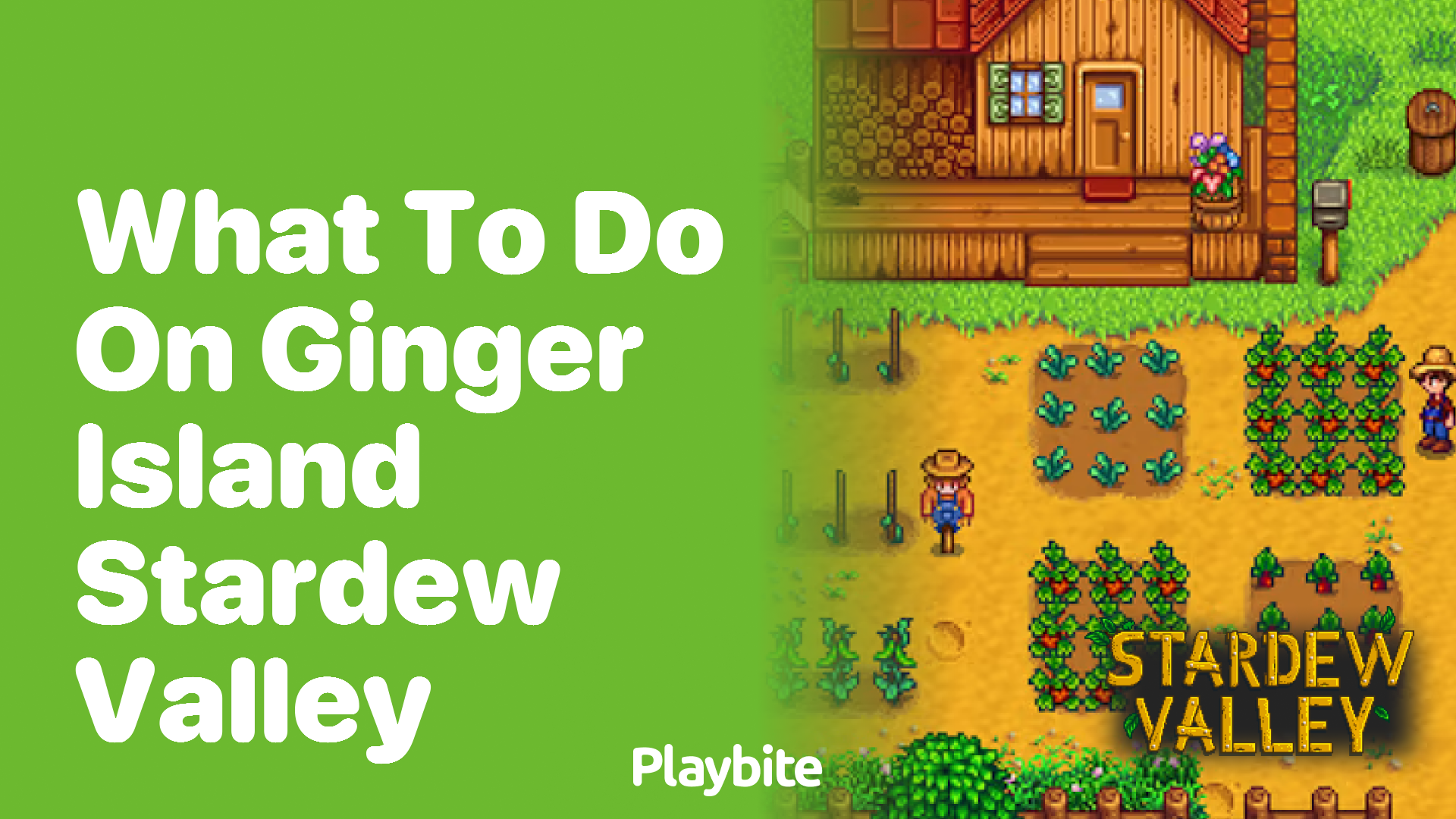 What to Do on Ginger Island in Stardew Valley
