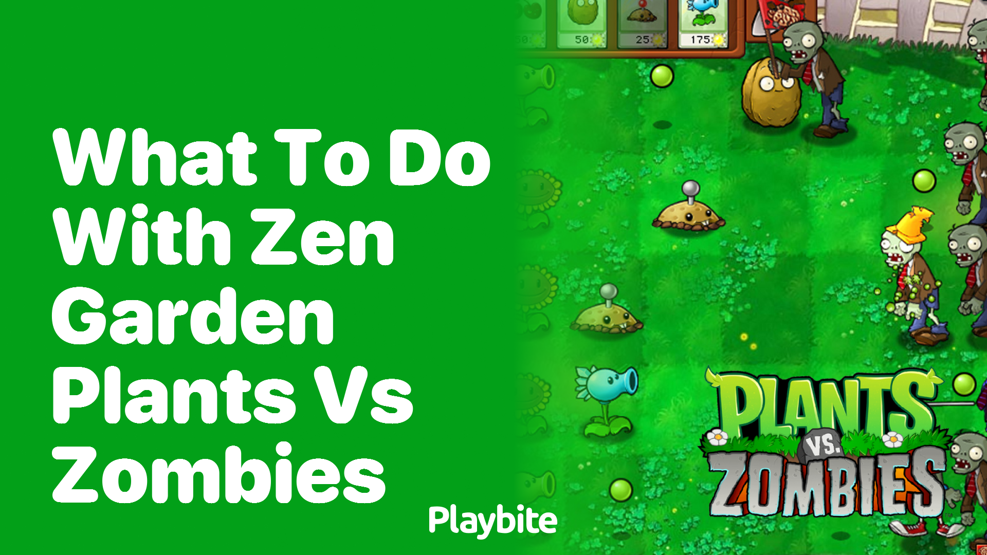 What to Do with Zen Garden in Plants vs. Zombies Playbite