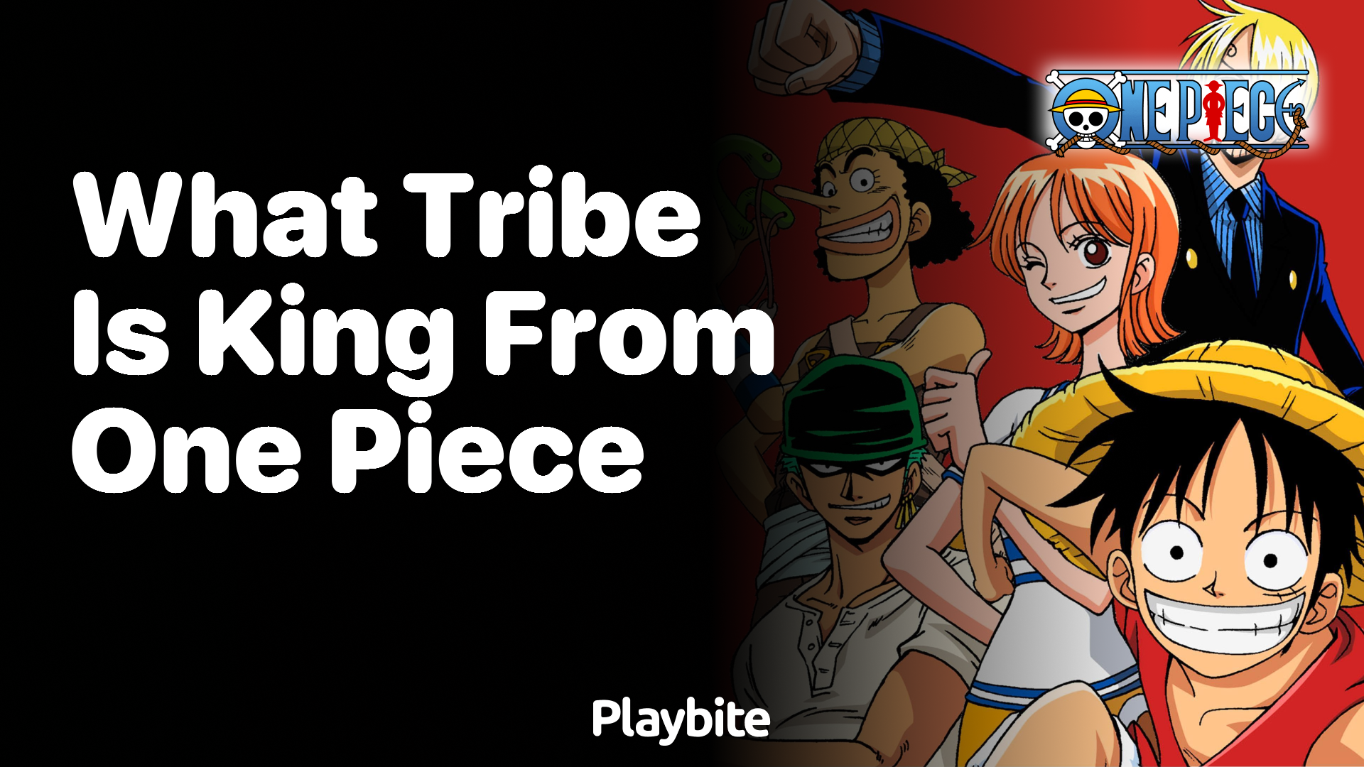 What Tribe Is King from One Piece From?