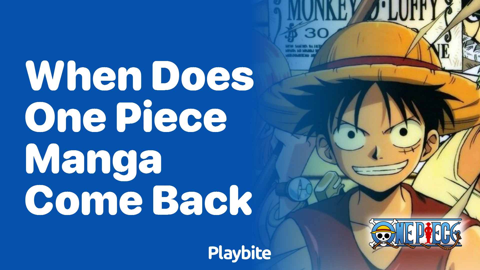 When Does One Piece Manga Make Its Comeback?