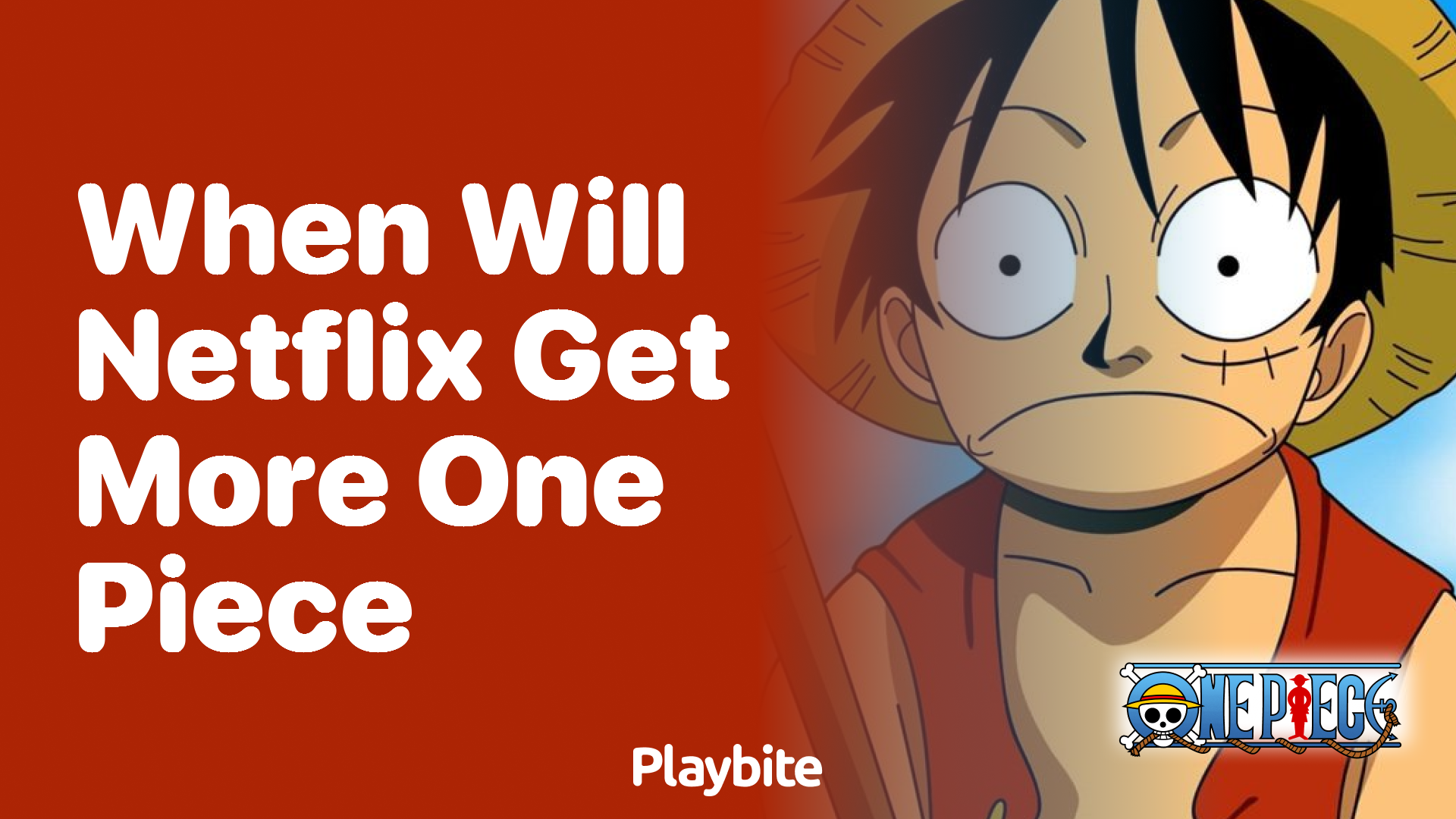 When Will More One Piece Episodes Come Out On Netflix