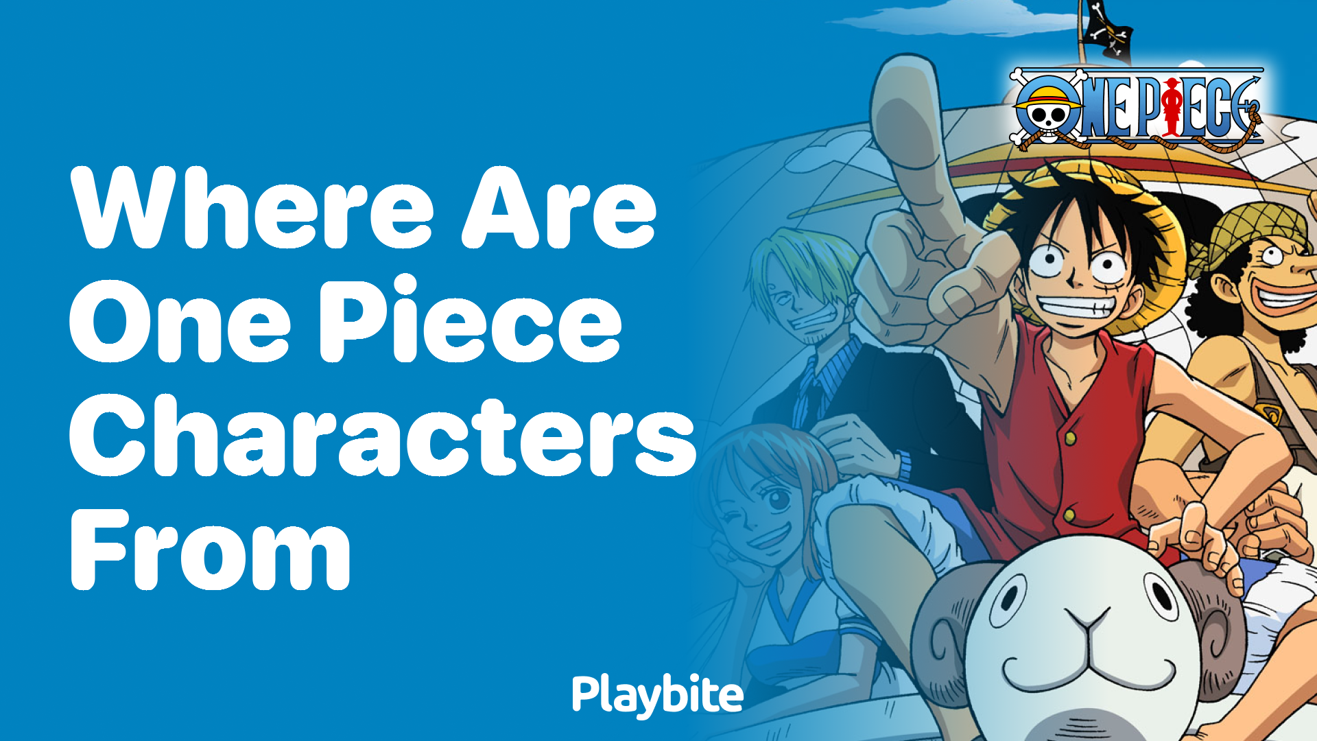 Where Are One Piece Characters From? Dive Into Their Origins