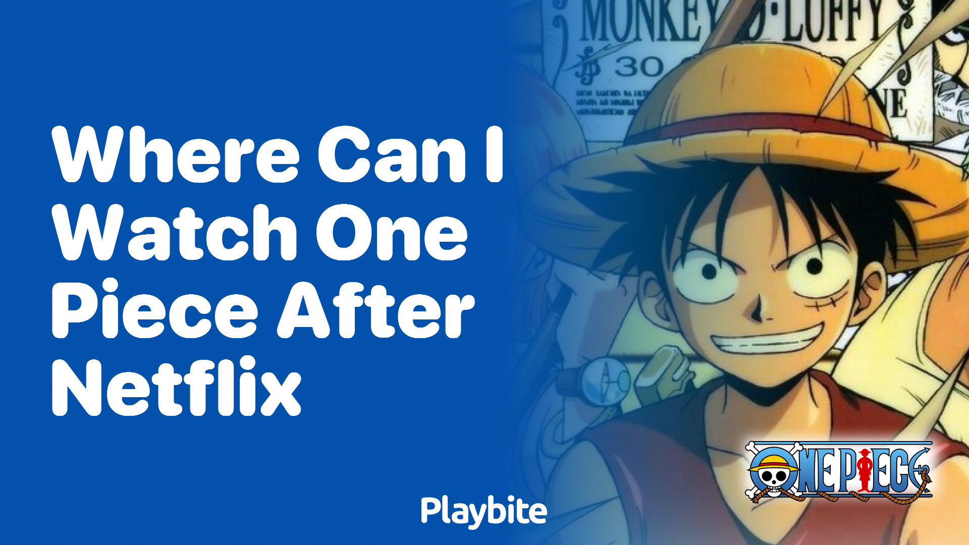Where Can I Watch One Piece After Netflix?