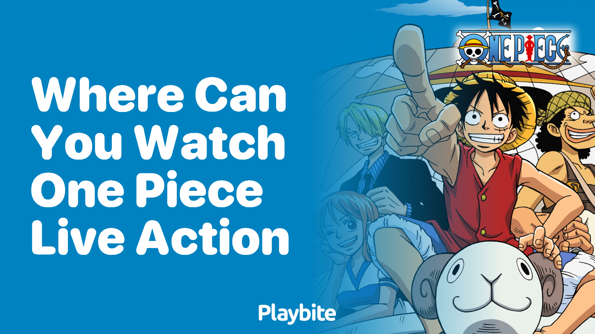 Where Can You Watch One Piece Live Action?