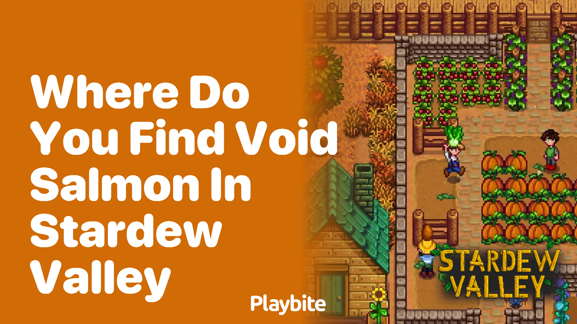 Where do you find Void Salmon in Stardew Valley?