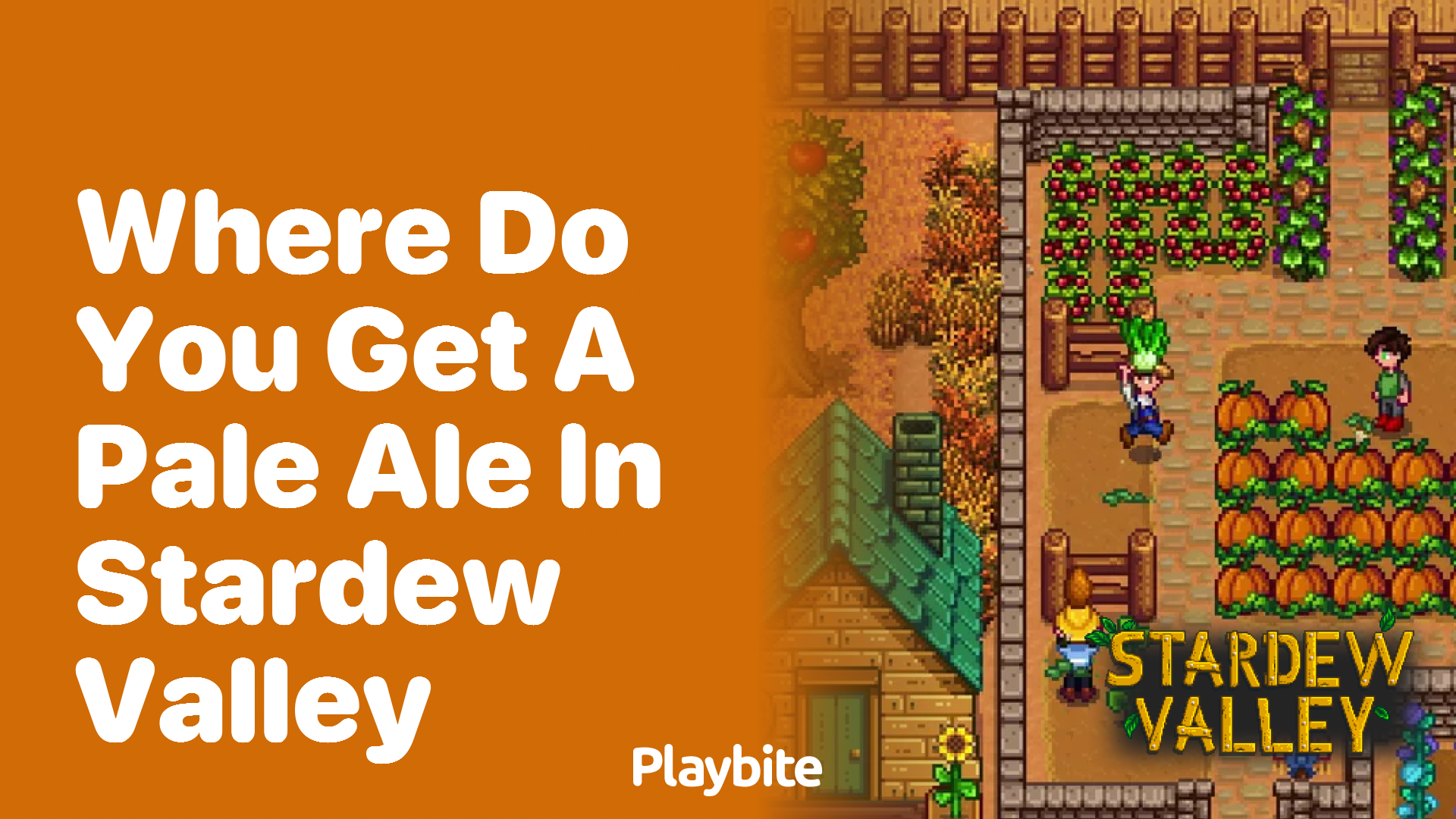 Where Do You Get a Pale Ale in Stardew Valley?
