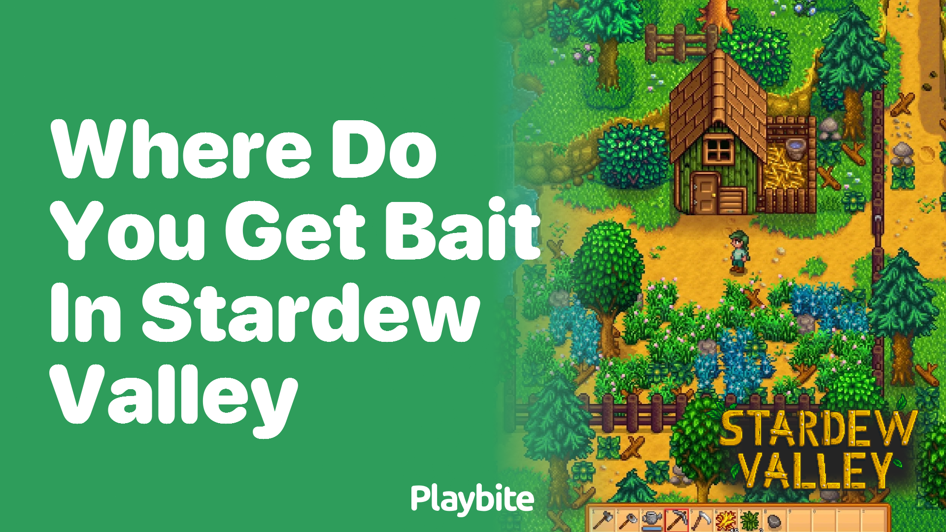 Where do you get bait in Stardew Valley?