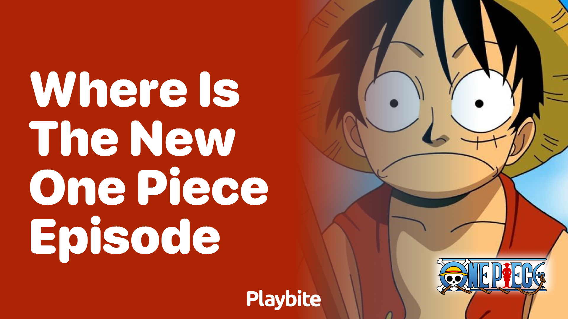 Where Is the New One Piece Episode? Find It Fast!