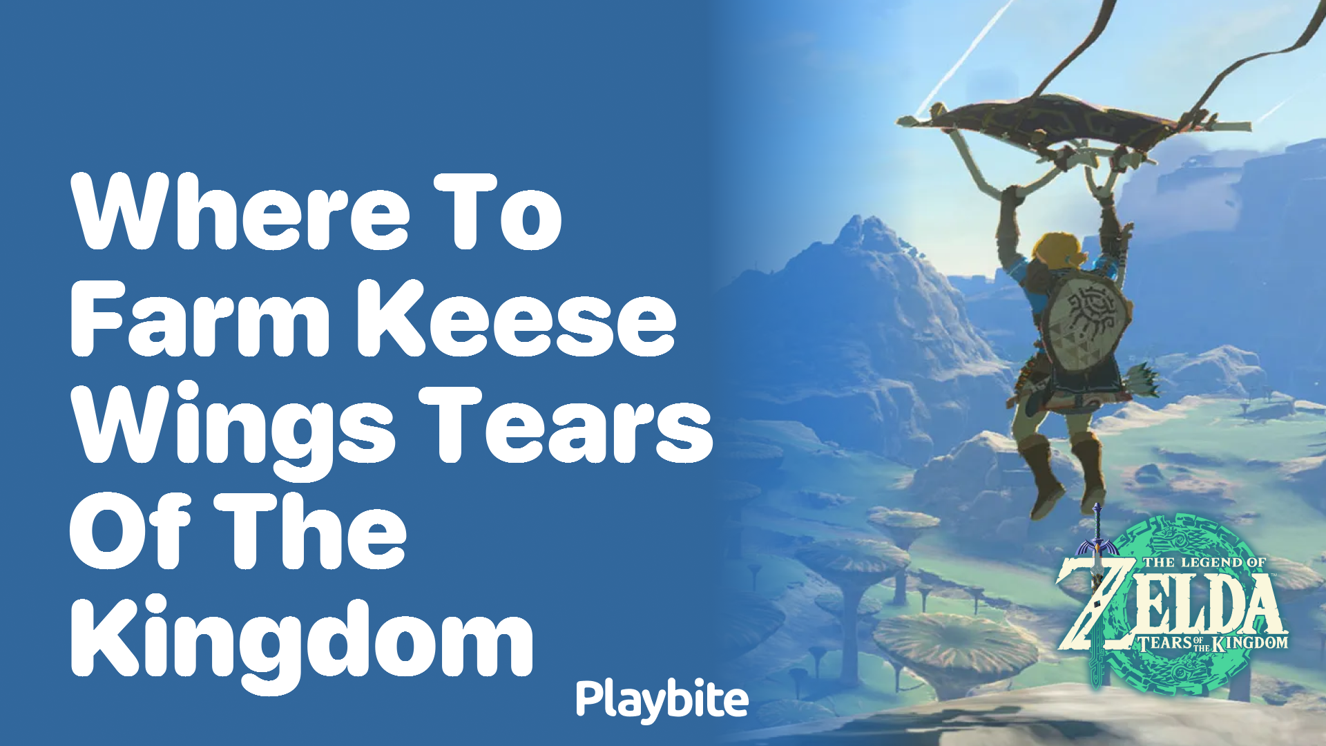 Where to Farm Keese Wings in Tears of the Kingdom