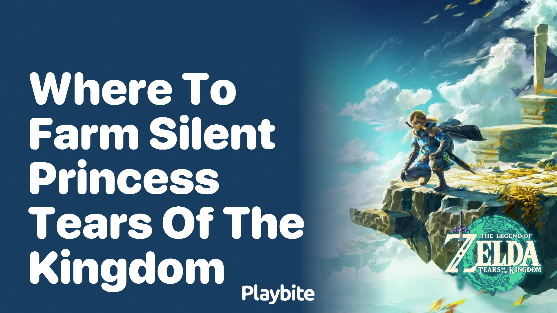 Where to Farm Silent Princess in Tears of the Kingdom
