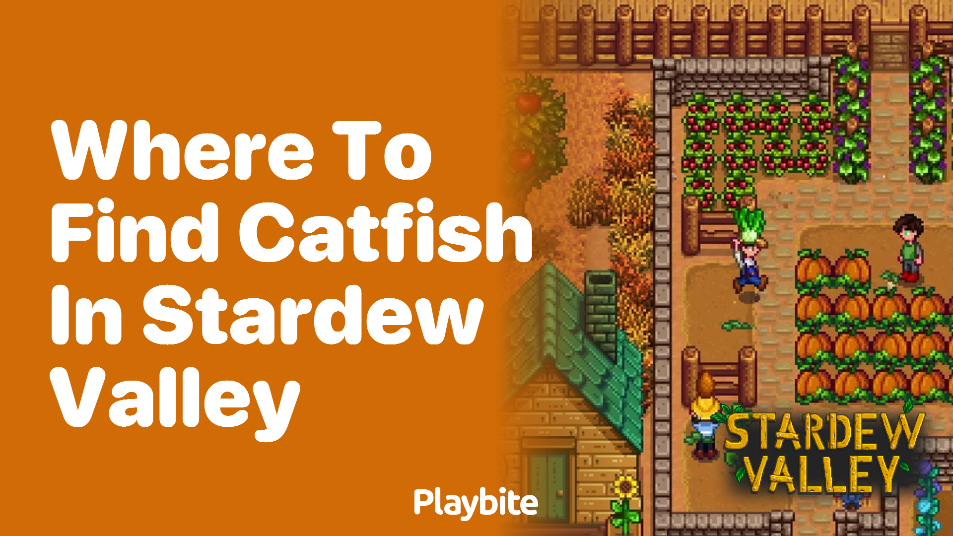 Where to Find Catfish in Stardew Valley Playbite