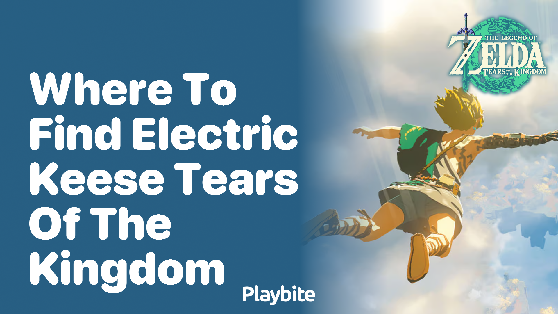 Where to Find Electric Keese in Tears of the Kingdom Playbite