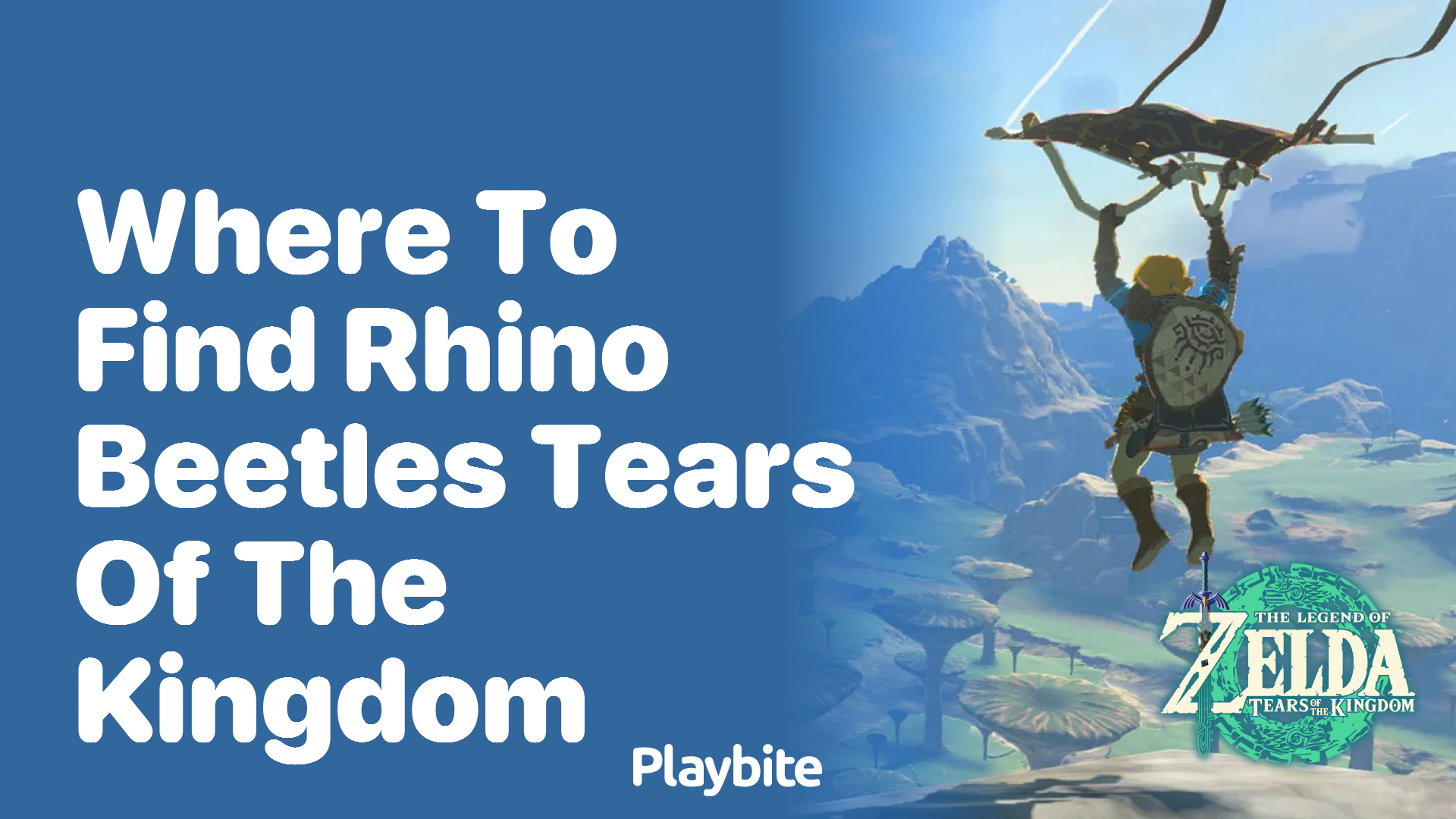 Where to Find Rhino Beetles in Tears of the Kingdom