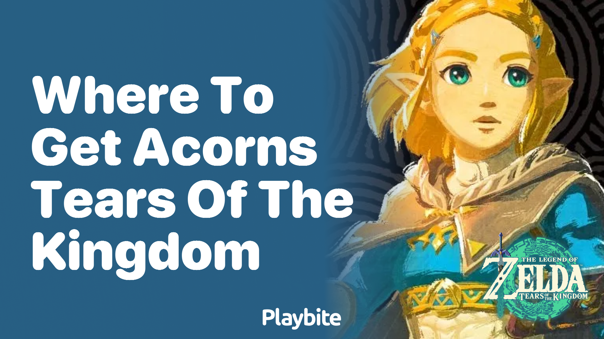 Where to Get Acorns in Tears of the Kingdom