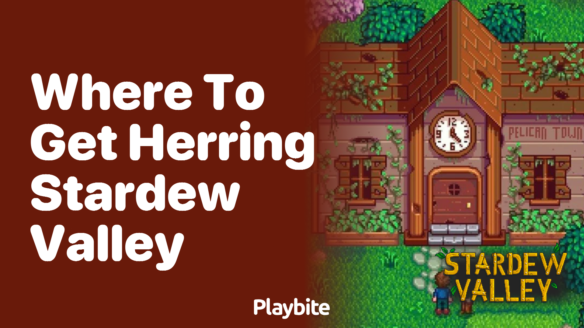 Where to Get Herring in Stardew Valley