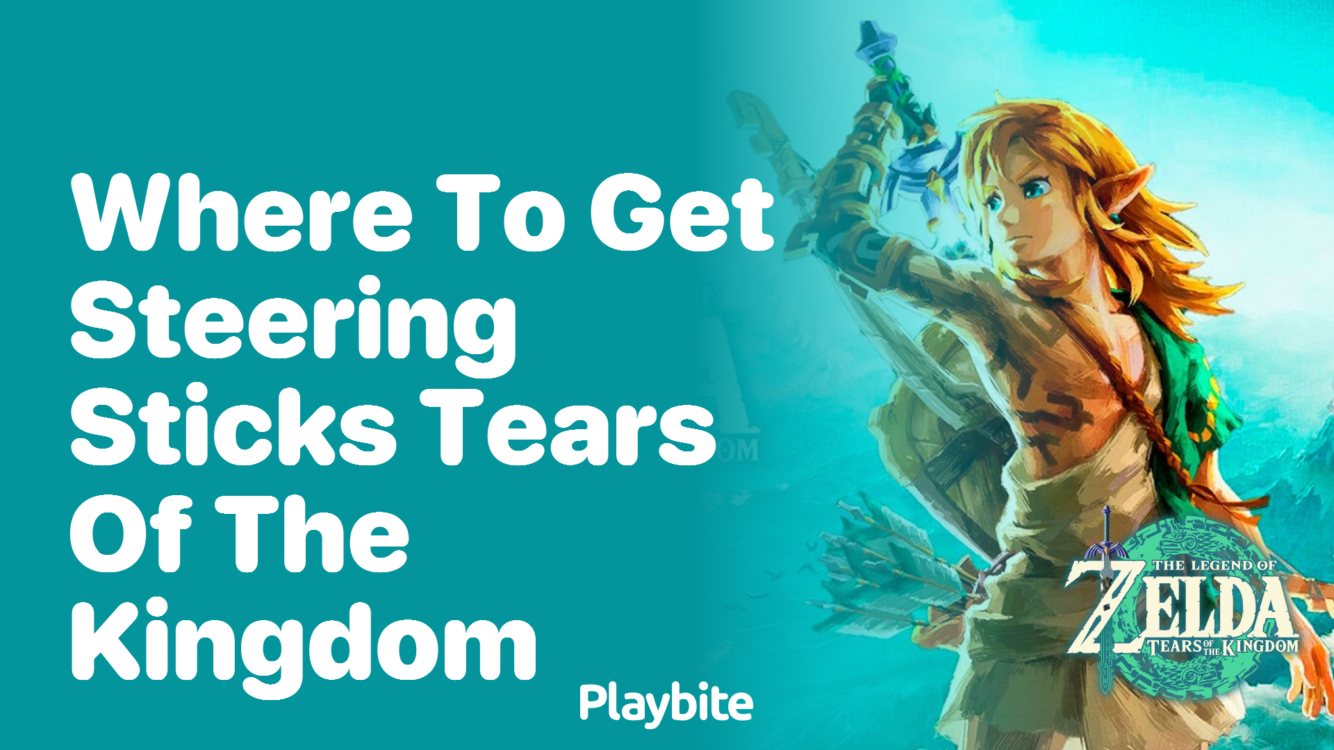 Where to Get Steering Sticks in Tears of the Kingdom